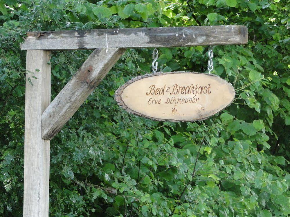 Bed and Breakfast Erve Dikkeboer Bathmen Экстерьер фото